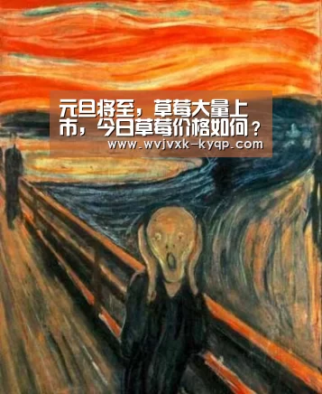 访问体验