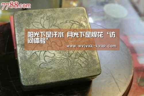 阳光下是汗水 月光下是焊花‘访问体验’(图3) 使用教程