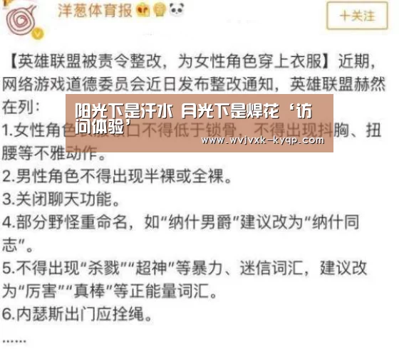阳光下是汗水 月光下是焊花‘访问体验’(图1) 客户端安装
