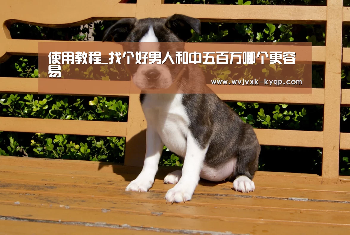 使用教程_找个好男人和中五百万哪个更容易(图1) 客户端安装