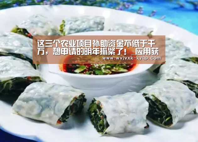 这三个农业项目补助资金不低于千万,想申请的明年抓紧了!_应用获取(图2) 多端支持
