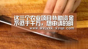 这三个农业项目补助资金不低于千万,想申请的明年抓紧了!_应用获取(图4) 应用获取