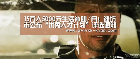 15万人5000元生活补助/月!潍坊市公布“优秀人才计划”评选通知“多端支持”(图1) 应用获取