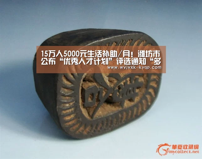 15万人5000元生活补助/月!潍坊市公布“优秀人才计划”评选通知“多端支持”(图3) 开元棋牌下载下载中心