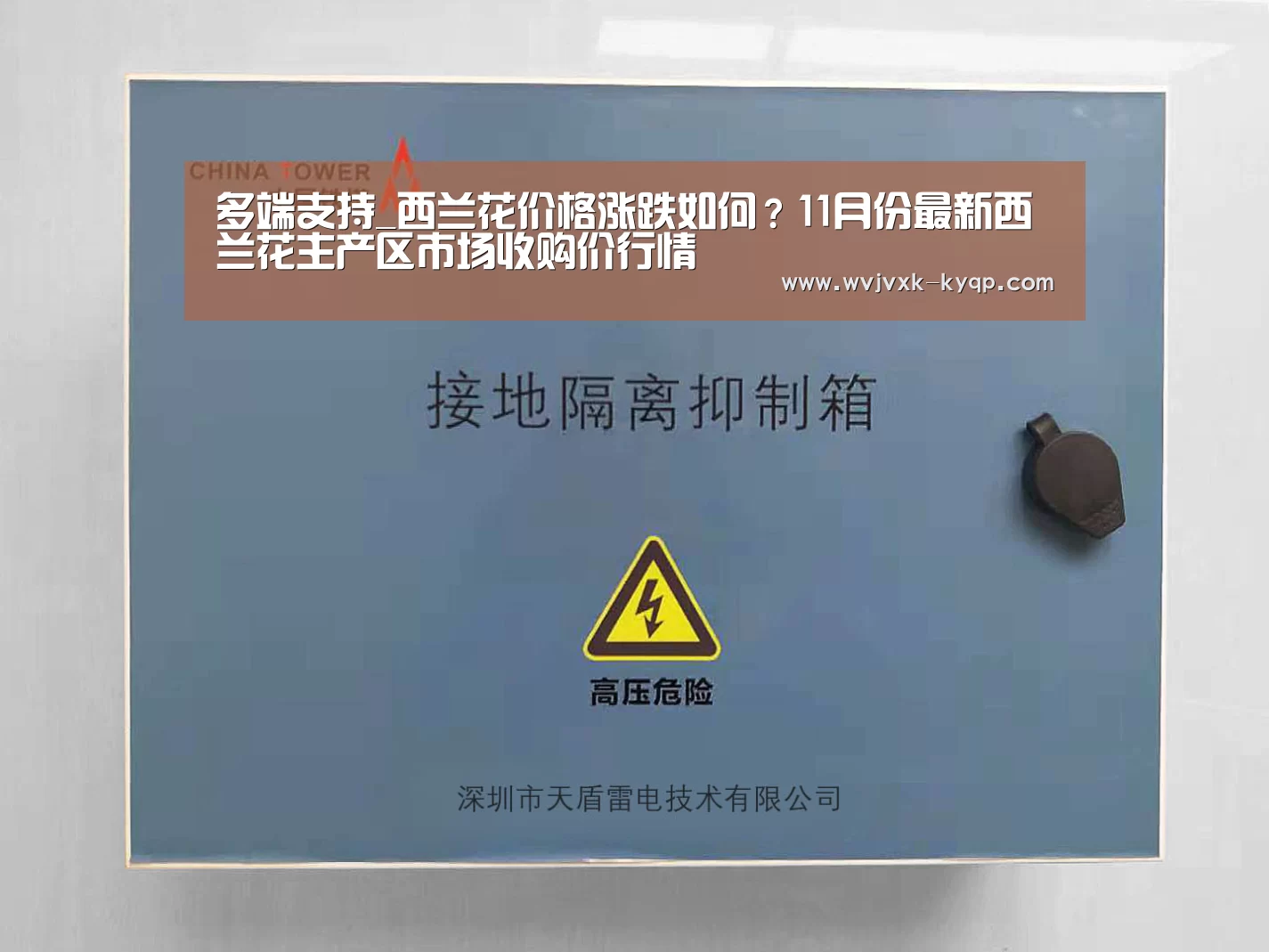 多端支持_西兰花价格涨跌如何?11月份最新西兰花主产区市场收购价行情(图1) 使用教程