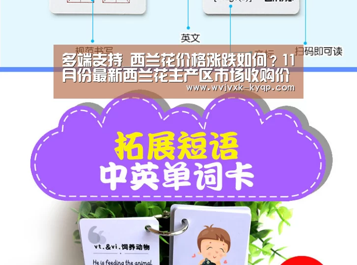 多端支持_西兰花价格涨跌如何?11月份最新西兰花主产区市场收购价行情(图2) 使用教程