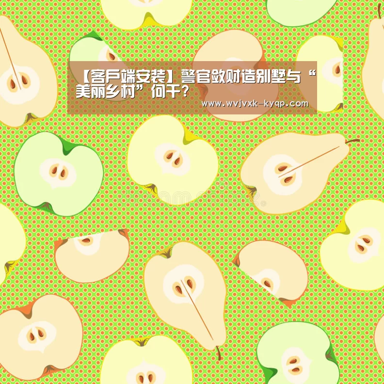 【客户端安装】警官敛财造别墅与“美丽乡村”何干?(图4) 访问体验