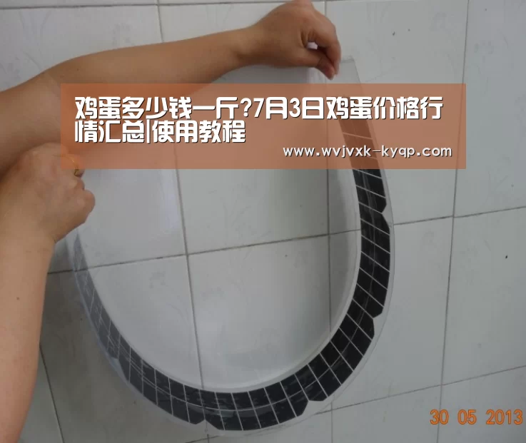 鸡蛋多少钱一斤?7月3日鸡蛋价格行情汇总|使用教程(图1) 使用教程