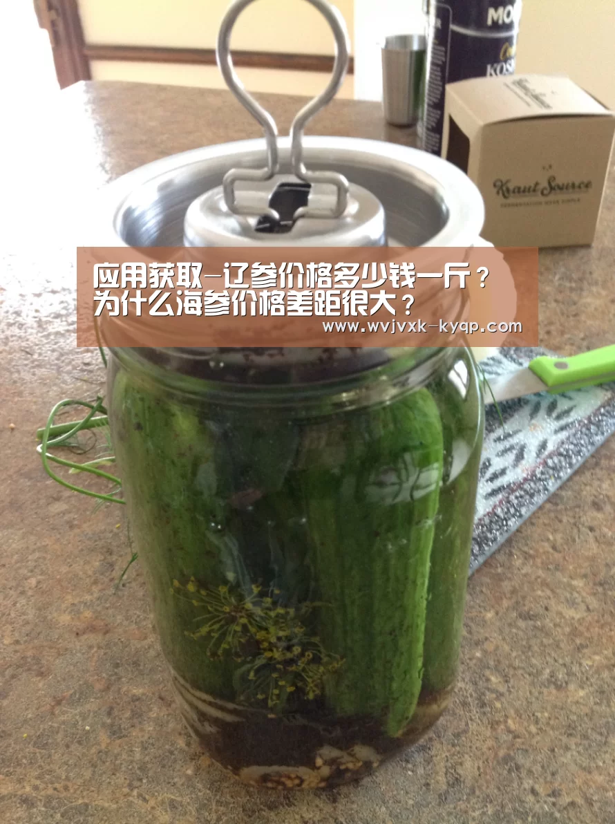 应用获取-辽参价格多少钱一斤?为什么海参价格差距很大?(图1) 开元棋牌下载下载中心